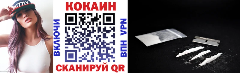 Cocaine FishScale  где купить   Аркадак 
