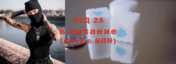 стаф Сатка