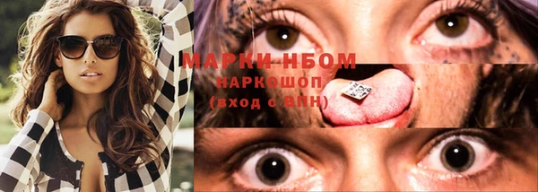 стаф Сатка