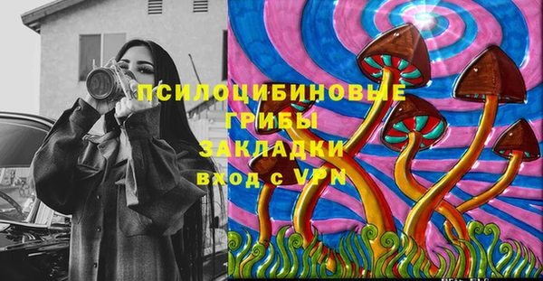 стаф Сатка